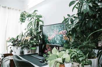 天涯论坛热议海南儋州发展，大家齐心共绘美好蓝图 第1张